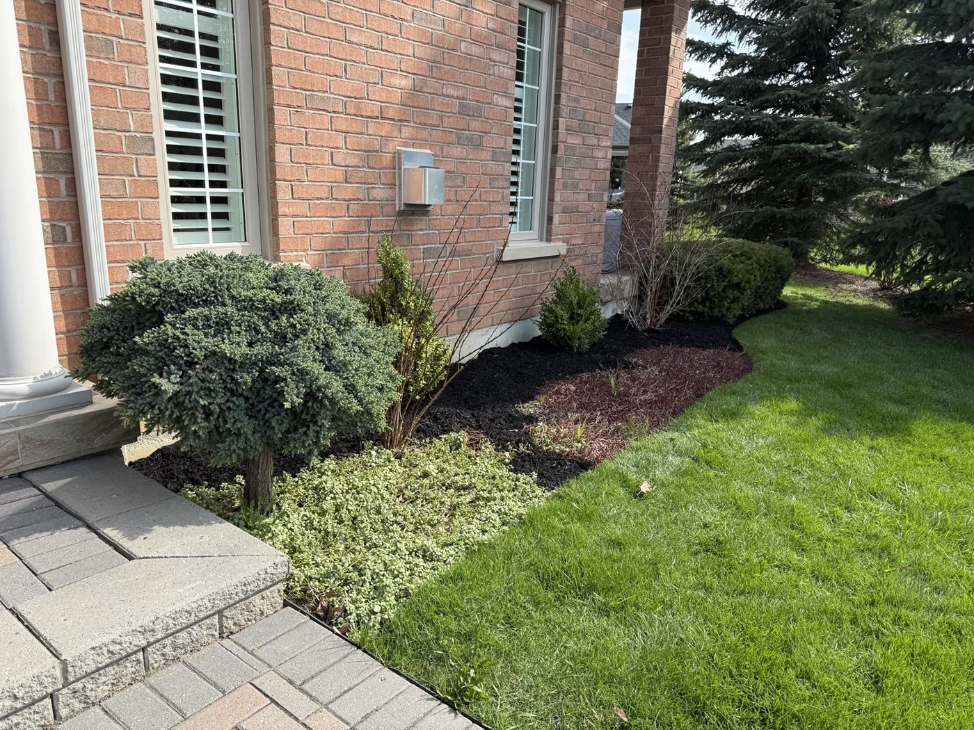 Maintained shrubs and mulched planting beds beside front entrance steps and a green lawn