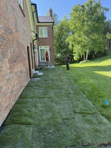 Sod installation and lawn work beside a home