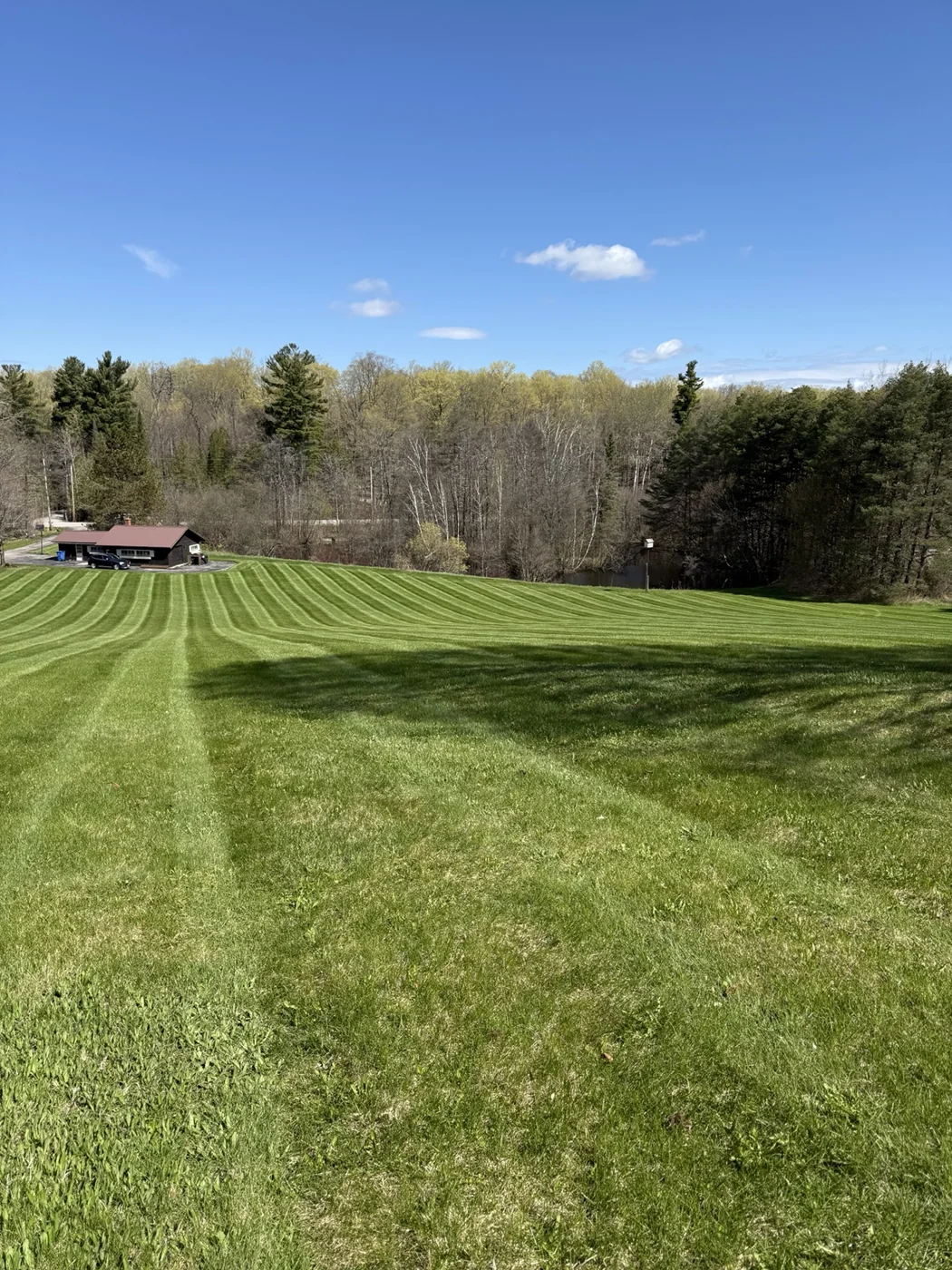 Parallel mowing stripes across a broad green lawn bordered by mature trees